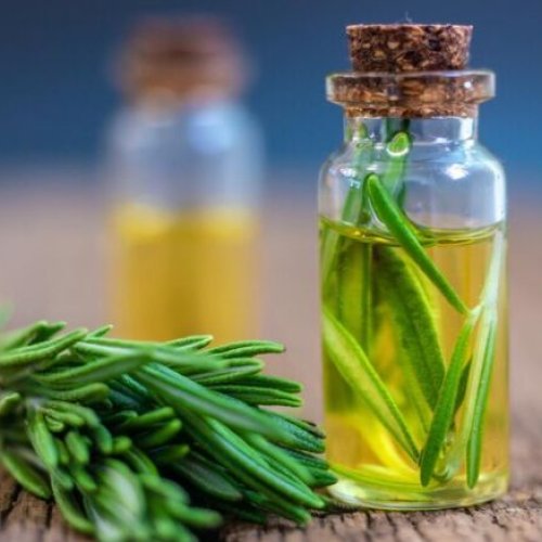 Rosemary Oil Tunisian