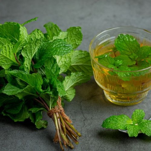 Spearmint Oil