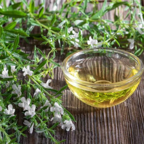 Winter Savory Oil