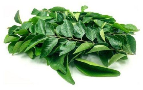 Fresh Curry Leaves