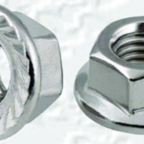 Flang Hex Nut