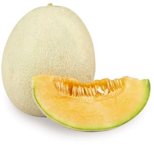 Fresh Muskmelon