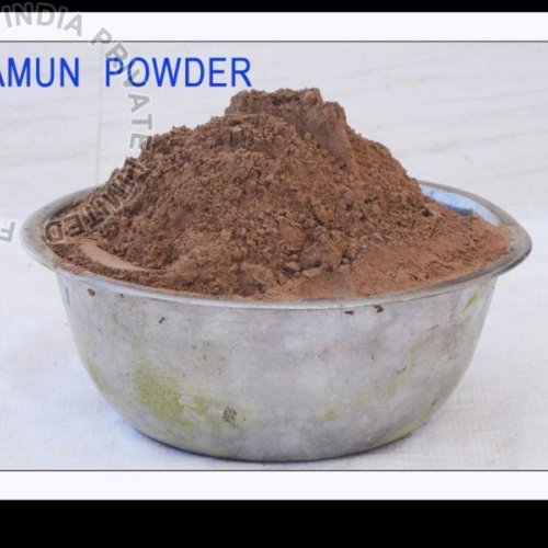 Jamun Seed Powder