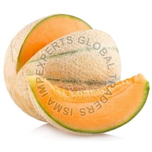 Fresh Muskmelon