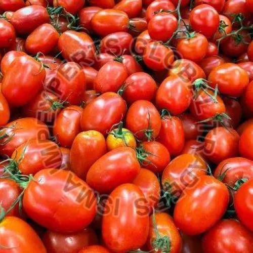 Fresh Tomato