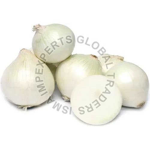 Fresh White Onion