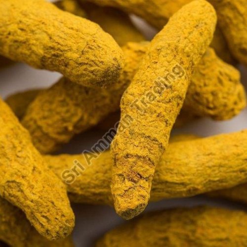 Double Polished Turmeric Finger