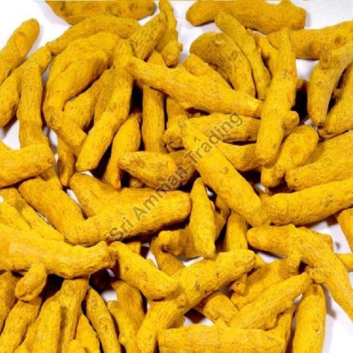 Dried Turmeric Finger