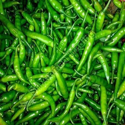 Fresh Green Chilli