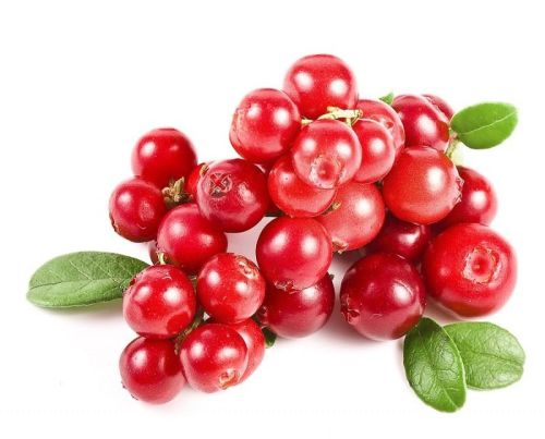 Fresh Cranberry