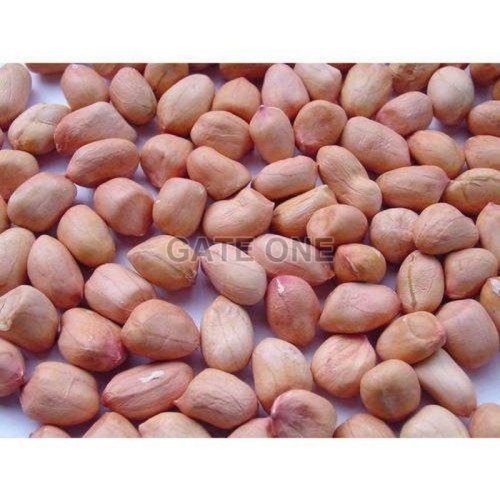 Groundnut Seeds