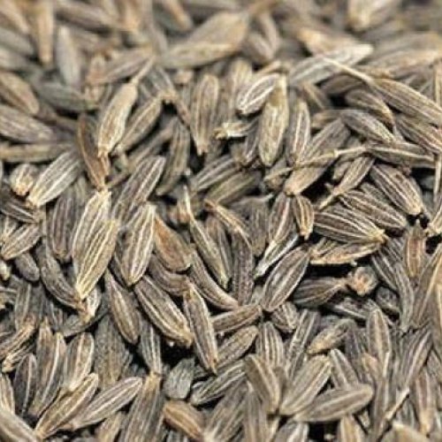 cumin seeds
