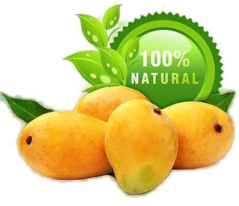 Alphonso Mangoes