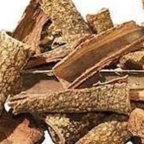 Neem Bark Extract