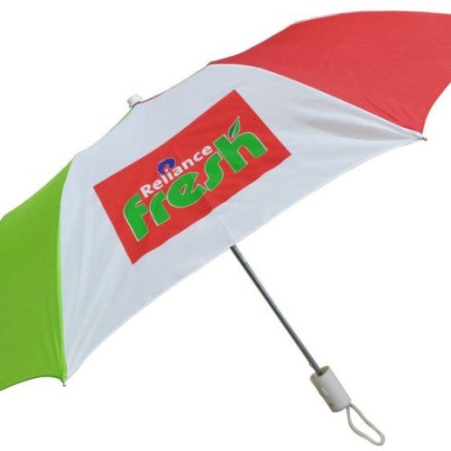 24.5 Inch Two Fold Umbrella