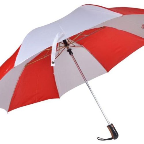 27 Inch Two Fold Umbrella