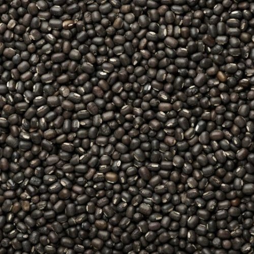 Black Matpe Beans