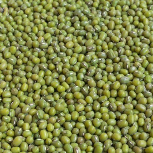 Green Mung Beans