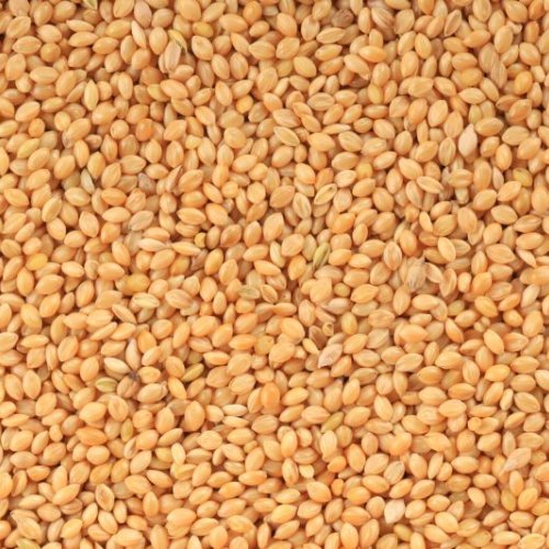 Natural Yellow Millet