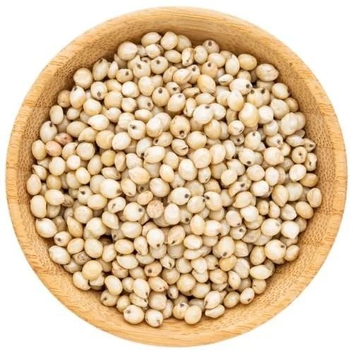 White Sorghum Grain