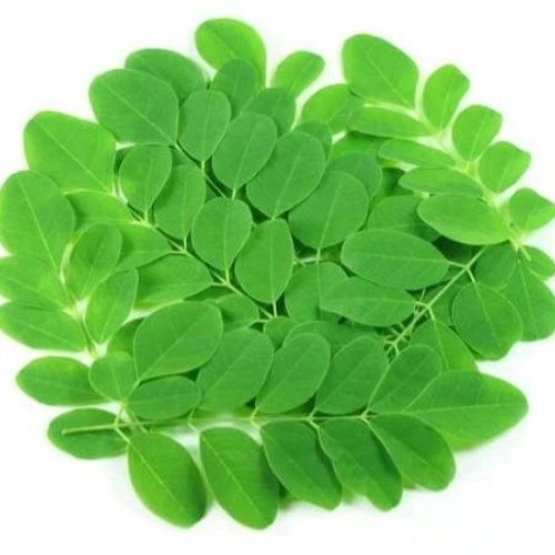Organic Moringa Leaves