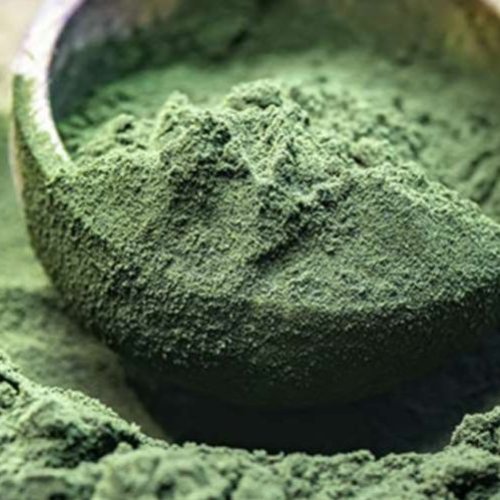 spirulina powder