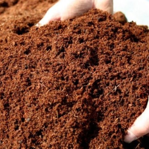 Coir Compost Fertilizers