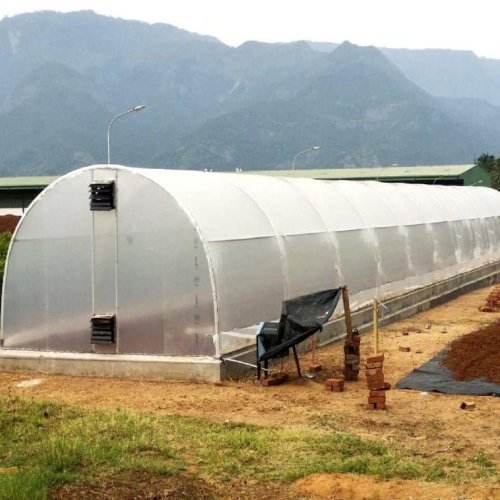 Greenhouse Solar Dryer
