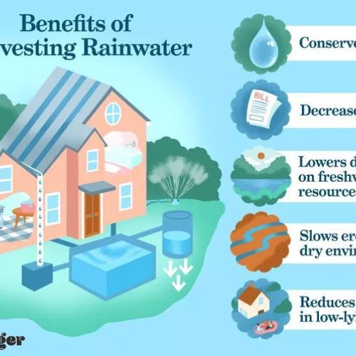 Rain Water Harvesting