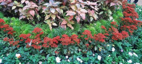 Urban Greenery Solution Service