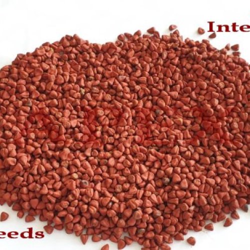 Annatto Seeds