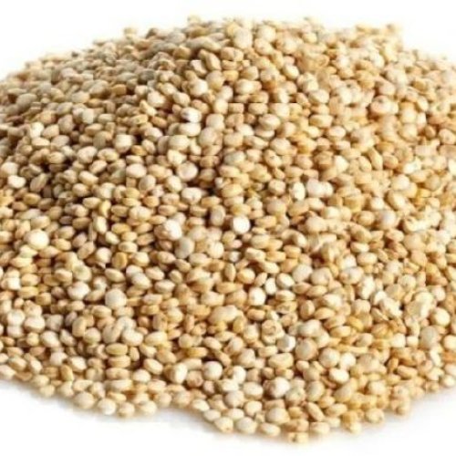 White Quinoa Seeds