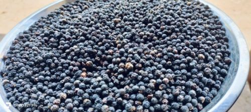 Black Pepper