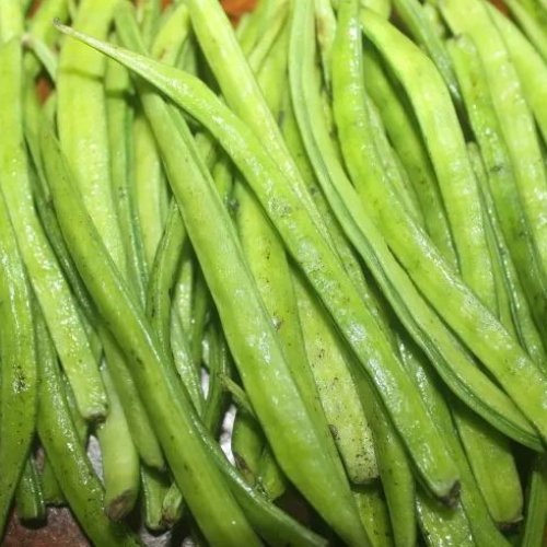 Organic Guar Gum