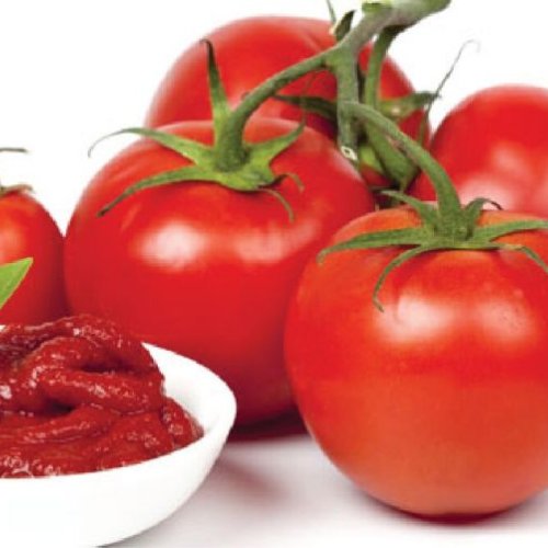 Tomato Paste Concentrate