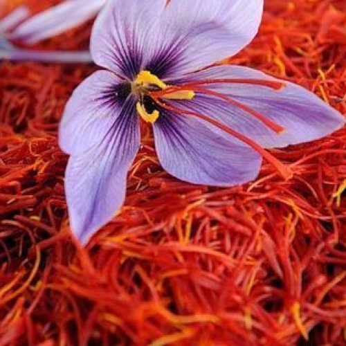 Natural Iran Saffron