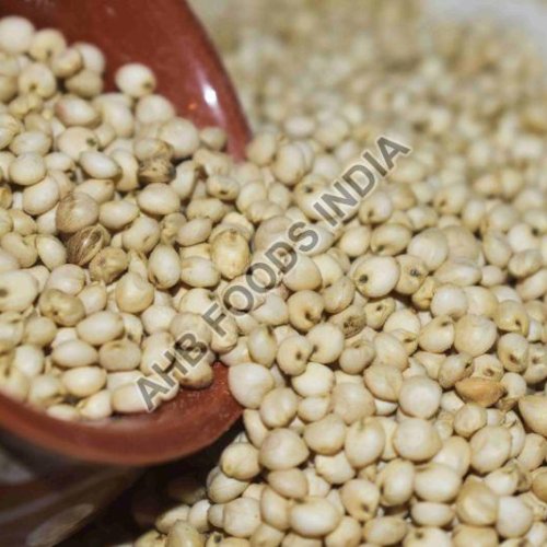 Sorghum Millet Seeds