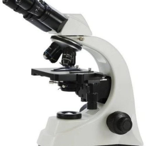 Binocular Microscope