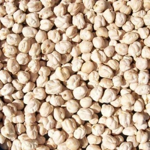 White Kabuli Chana