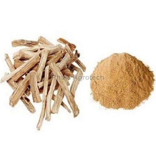 Asparagus Racemosus Extract Powder
