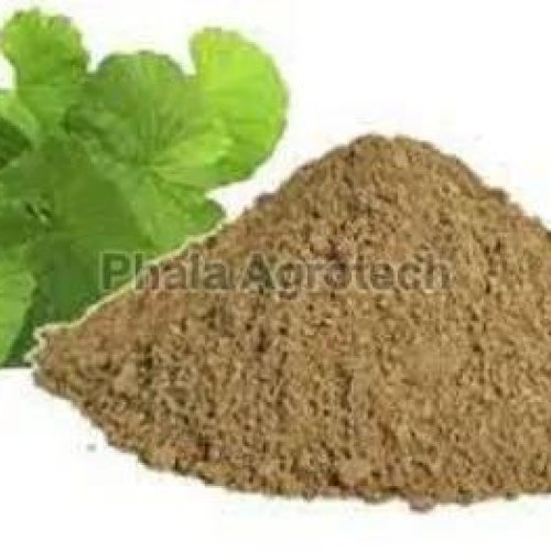 Brahmi Powder
