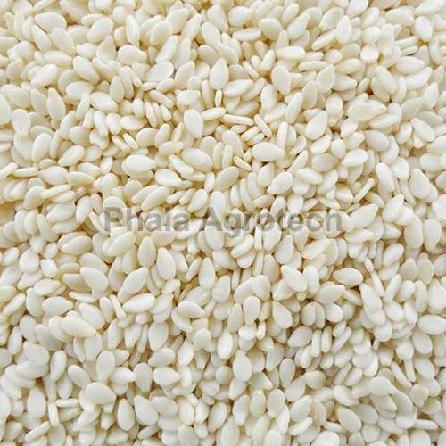 Dried White Sesame Seeds