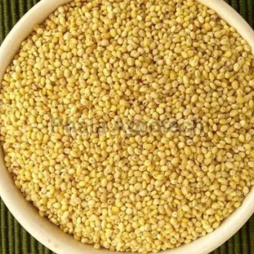 Natural Proso Millet