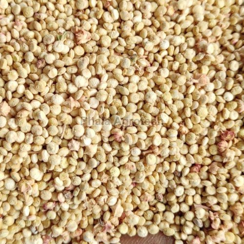 Quinoa Seeds