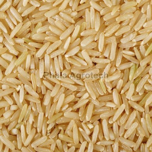 Sona Masoori Rice Brown
