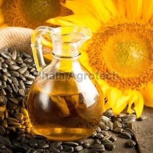 Sun Flower Oil