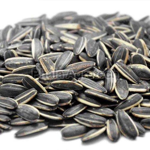 Sunflower Seeds