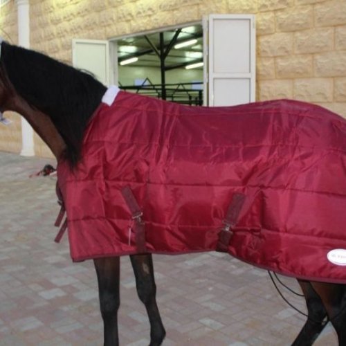 Horse Stable Blanket