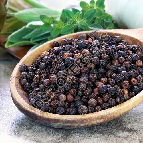Black Pepper Seeds