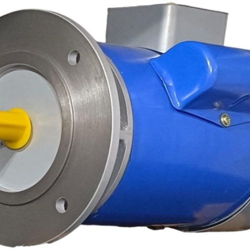 Single Phase AC Synchronous Motor